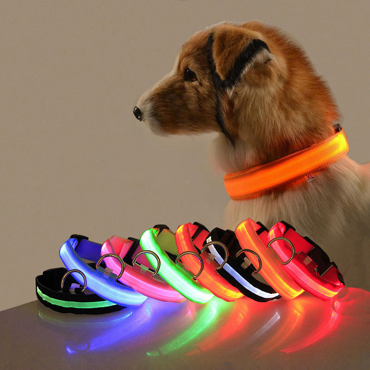 Collier Lumineux pour Chien - Assurez la Sécurité de Votre Animal de Compagnie, Même la Nuit!