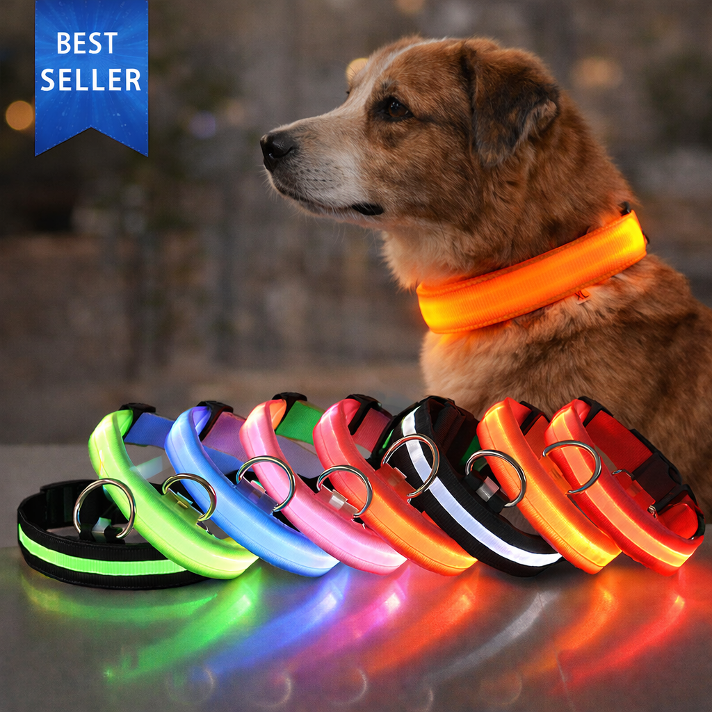 Collier Lumineux pour Chien - Assurez la Sécurité de Votre Animal de Compagnie, Même la Nuit!
